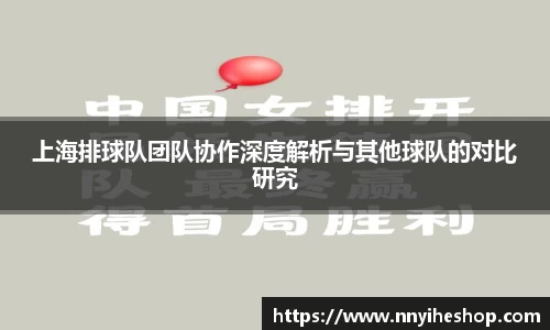 上海排球队团队协作深度解析与其他球队的对比研究